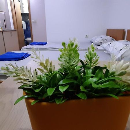 Apartment Riki 3 Near Bus Station Ohrid Extérieur photo